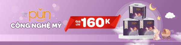 20231127 ta bim pun 600 150 1