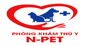 N pet