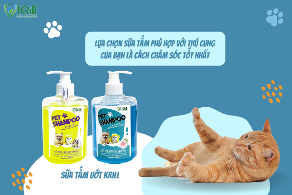 cach-khu-mui-hoi-cho-cho-poodle-6