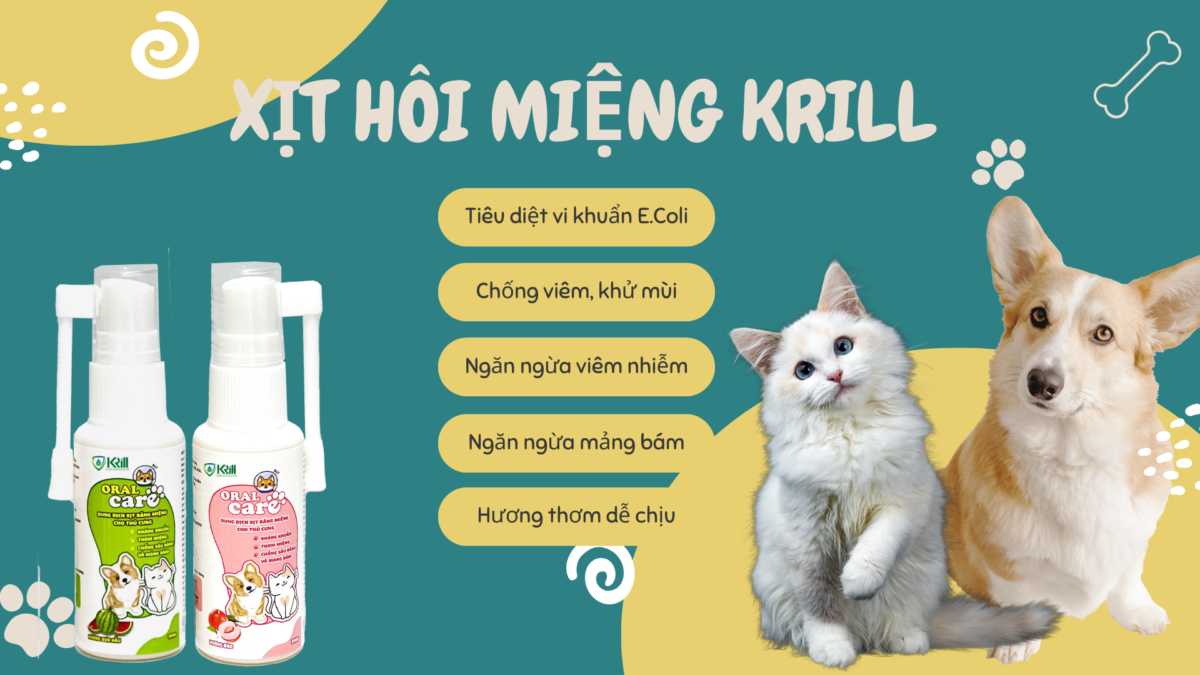 XIT HOI MIENG KRILL