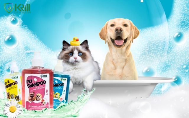 sữa tắm khử mùi hôi cho chó