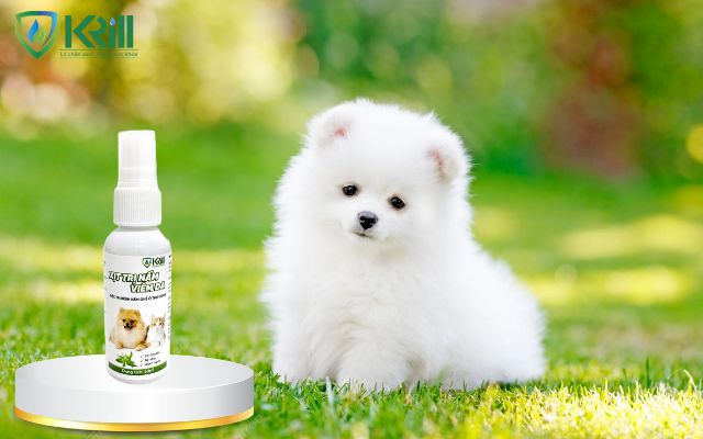 thuốc trị xà mâu cho chó